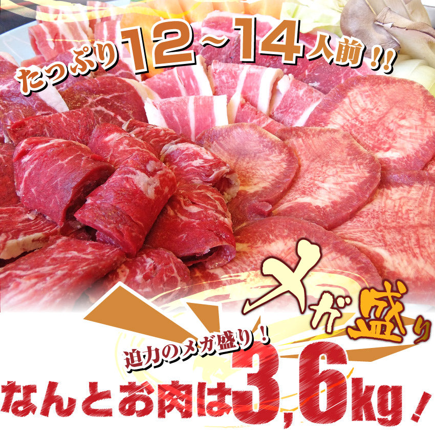 焼肉 牛肉 肉 バーベキュー ギガ盛り 6種 セット 12~14人前 BBQ 焼くだけ 福袋 お中元 ギフト 食品 プレゼント キャンプ キャンプ飯