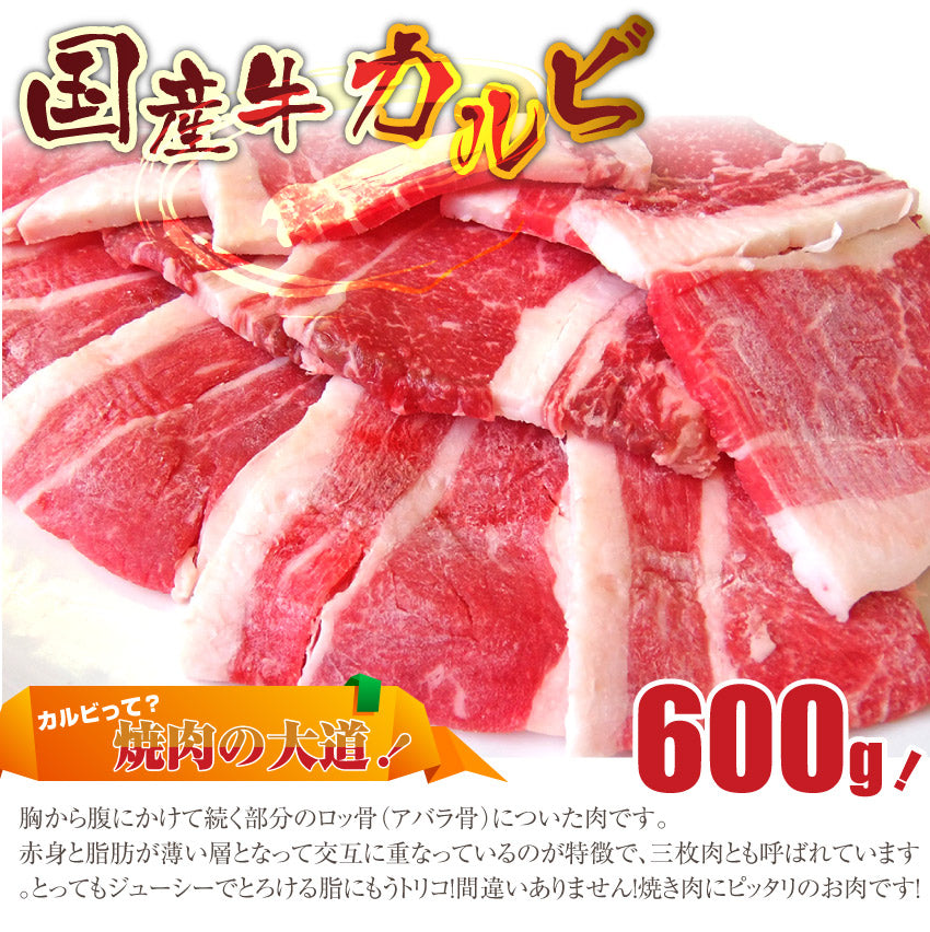 焼肉 牛肉 肉 バーベキュー ギガ盛り 6種 セット 12~14人前 BBQ 焼くだけ 福袋 お中元 ギフト 食品 プレゼント キャンプ キャンプ飯