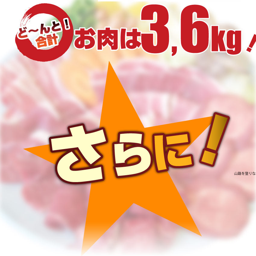 焼肉 牛肉 肉 バーベキュー ギガ盛り 6種 セット 12~14人前 BBQ 焼くだけ 福袋 お中元 ギフト 食品 プレゼント キャンプ キャンプ飯