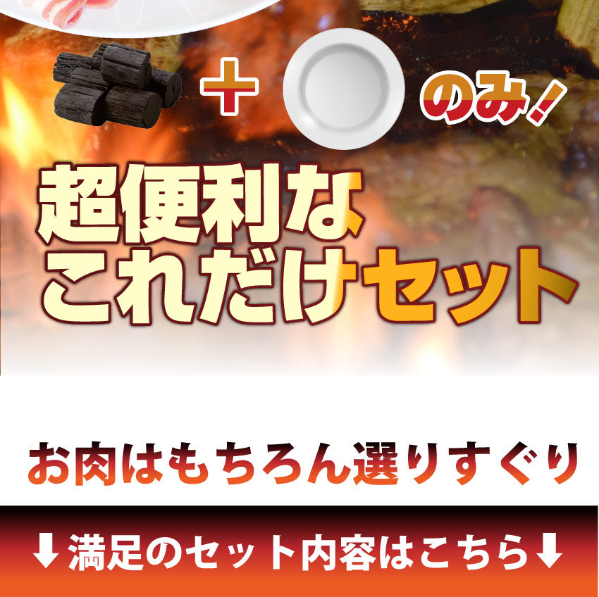 焼肉 セット 牛肉 肉 バーベキュー メガ盛り セット 6~8人前 BBQ 焼くだけ 福袋 グルメ お中元 ギフト 食品 プレゼント キャンプ キャンプ飯