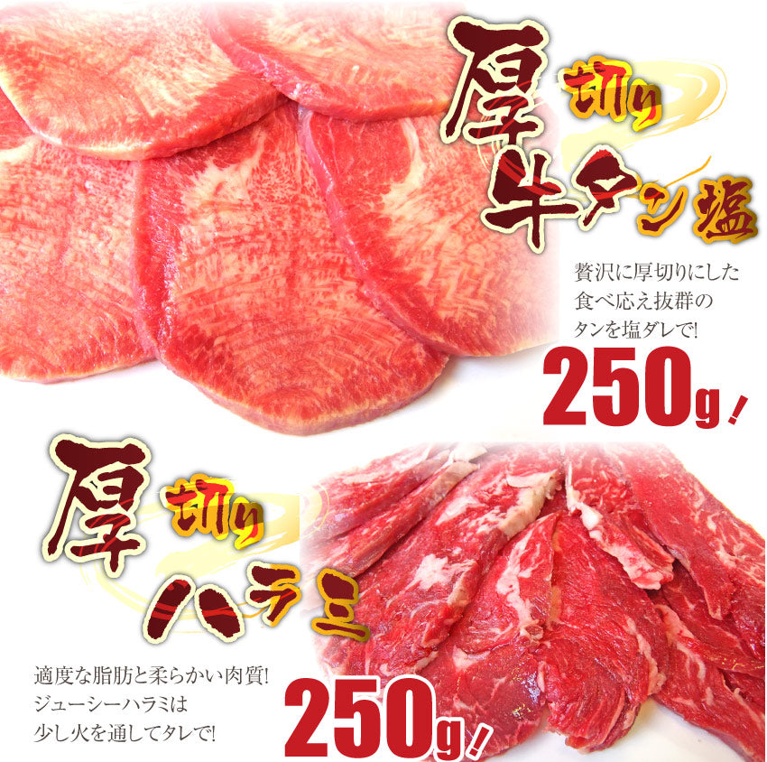 焼肉 セット 牛肉 肉 バーベキュー メガ盛り セット 6~8人前 BBQ 焼くだけ 福袋 グルメ お中元 ギフト 食品 プレゼント キャンプ キャンプ飯