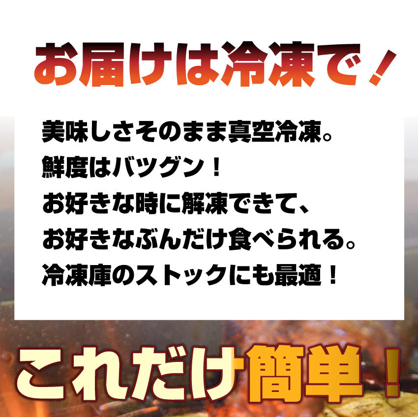 焼肉 セット 牛肉 肉 バーベキュー メガ盛り セット 6~8人前 BBQ 焼くだけ 福袋 グルメ お中元 ギフト 食品 プレゼント キャンプ キャンプ飯