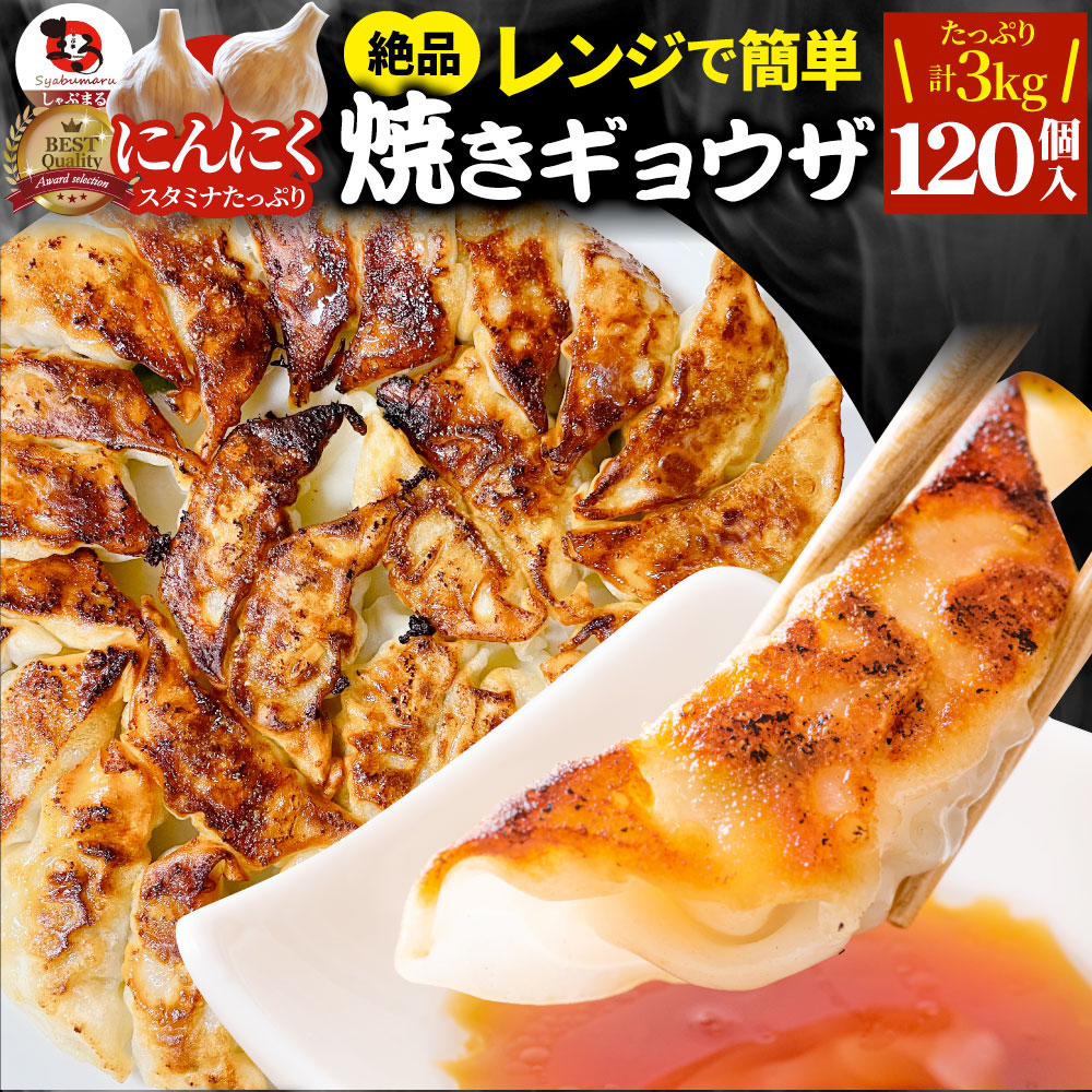 餃子 ギョウザ ギョーザ レンジ調理 中華 120個入り 3kg(1kg×3) 点心 中華料理 惣菜 温めるだけ 冷凍 惣菜 お弁当 あす楽 業務用 温めるだけ レンチン 冷食