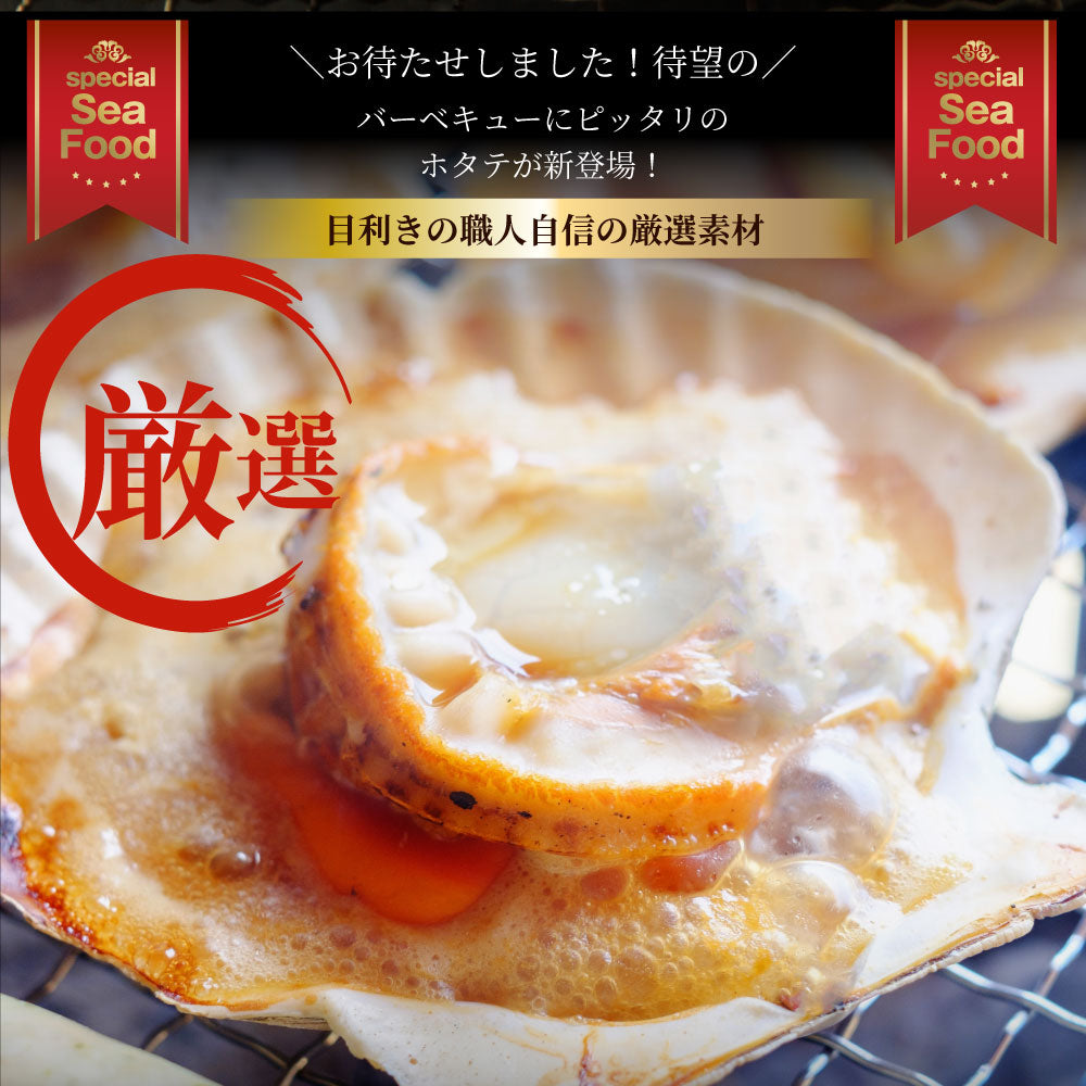 ホタテ ほたて 帆立 40枚入り 北海道産 バター焼き ほたて貝 バーベキュー BBQ 片貝 焼くだけ 業務用 国産 海鮮 シーフード 食品 グルメ 殻付き 送料無料