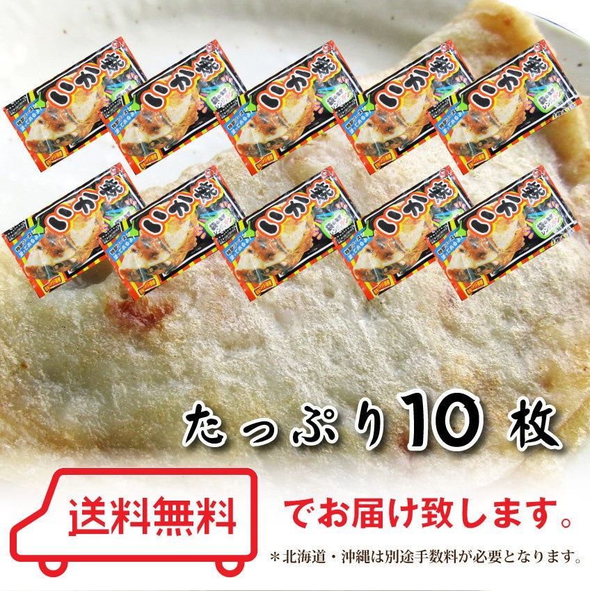 イカ焼き 10枚 100g×10 レンジで簡単 温めるだけ おつまみ おやつ 夜食 食べきりサイズ 冷凍ヘルシー