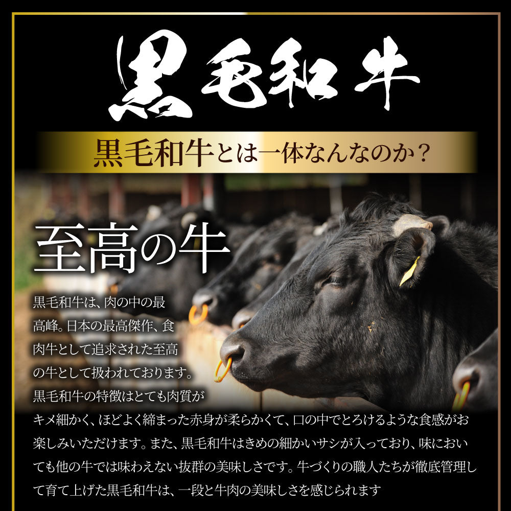 ステーキ 黒毛和牛 ロース 180g×8枚(合計1,440g)肉 お中元 ギフト 食品 お祝い 新生活 プレゼント 牛肉 霜降り 贅沢 黒毛 和牛 国産 祝い 記念 通販