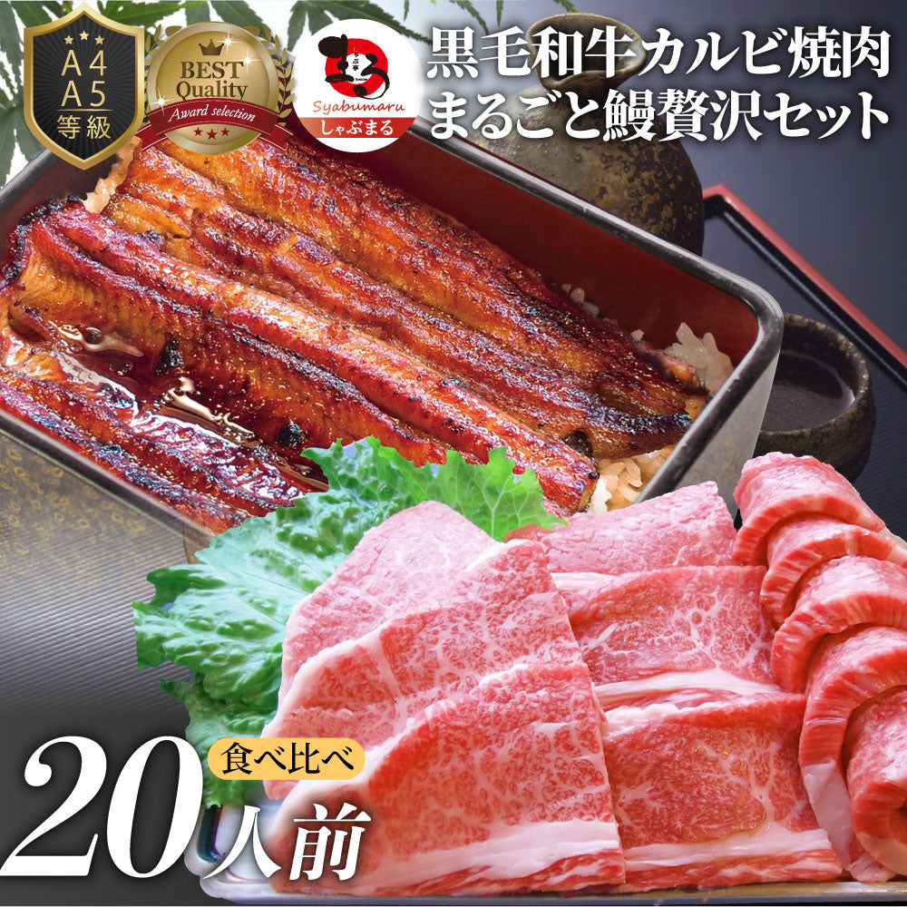 黒毛和牛 & まるごと鰻 セット 20人前 肉 お中元 ギフト 食品 プレゼント 女性 男性 お祝い 新生活 黒毛和牛 カルビ 焼肉 A4 ~ A5等級 プレゼント 牛肉 うなぎ