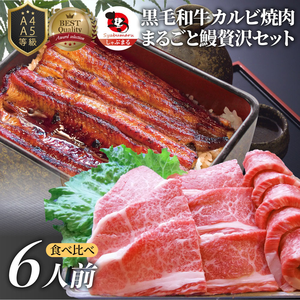 黒毛和牛 & まるごと鰻 セット 6人前 肉 お中元 ギフト 食品 プレゼント 女性 男性 お祝い 新生活 カルビ 焼肉 A4 ~ A5等級 プレゼント 牛肉 贅沢