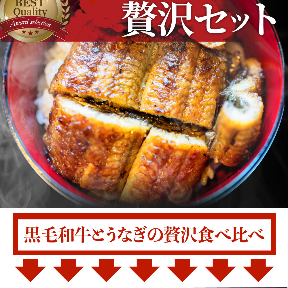 黒毛和牛 & まるごと鰻 セット 6人前 肉 お中元 ギフト 食品 プレゼント 女性 男性 お祝い 新生活 カルビ 焼肉 A4 ~ A5等級 プレゼント 牛肉 贅沢