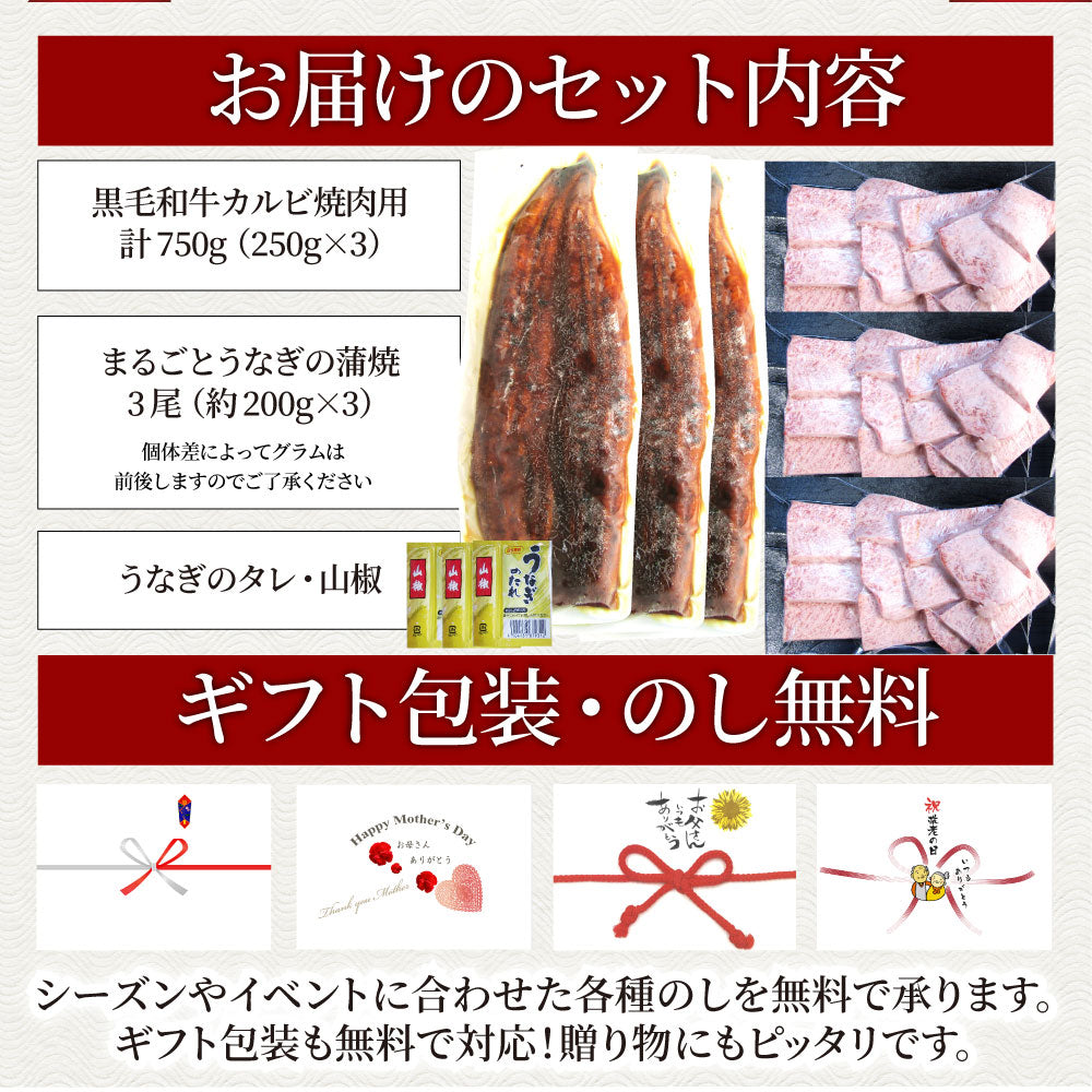 黒毛和牛 & まるごと鰻 セット 6人前 肉 お中元 ギフト 食品 プレゼント 女性 男性 お祝い 新生活 カルビ 焼肉 A4 ~ A5等級 プレゼント 牛肉 贅沢