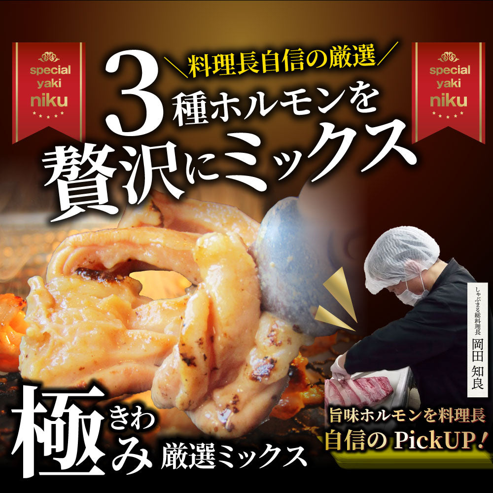 三種 ホルモン ミックス 焼肉 3kg(250g×12パック)秘伝 タレ漬け バーベキュー BBQ お花見 花見 肉 焼くだけ 冷凍キャンプ キャンプ飯