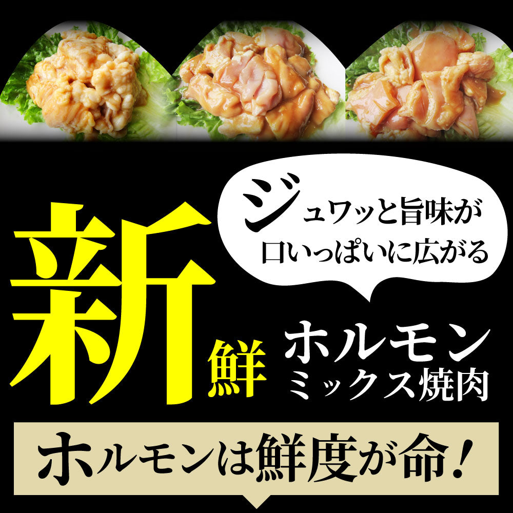 三種 ホルモン ミックス 焼肉 5kg(250g×20パック)秘伝 タレ漬け バーベキュー BBQ お花見 花見 肉 焼くだけ 冷凍キャンプ キャンプ飯
