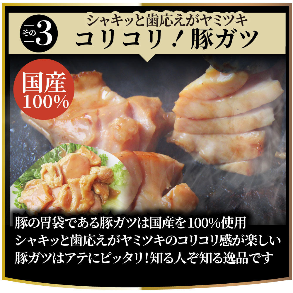 三種 ホルモン ミックス 焼肉 3kg(250g×12パック)秘伝 タレ漬け バーベキュー BBQ お花見 花見 肉 焼くだけ 冷凍キャンプ キャンプ飯
