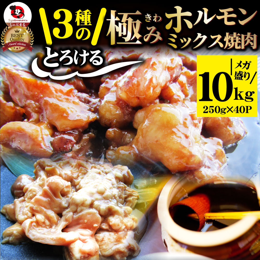 三種 ホルモン ミックス 焼肉 10kg(250g×40パック)秘伝 タレ漬け バーベキュー BBQ お花見 花見 肉 焼くだけ 冷凍キャンプ キャンプ飯