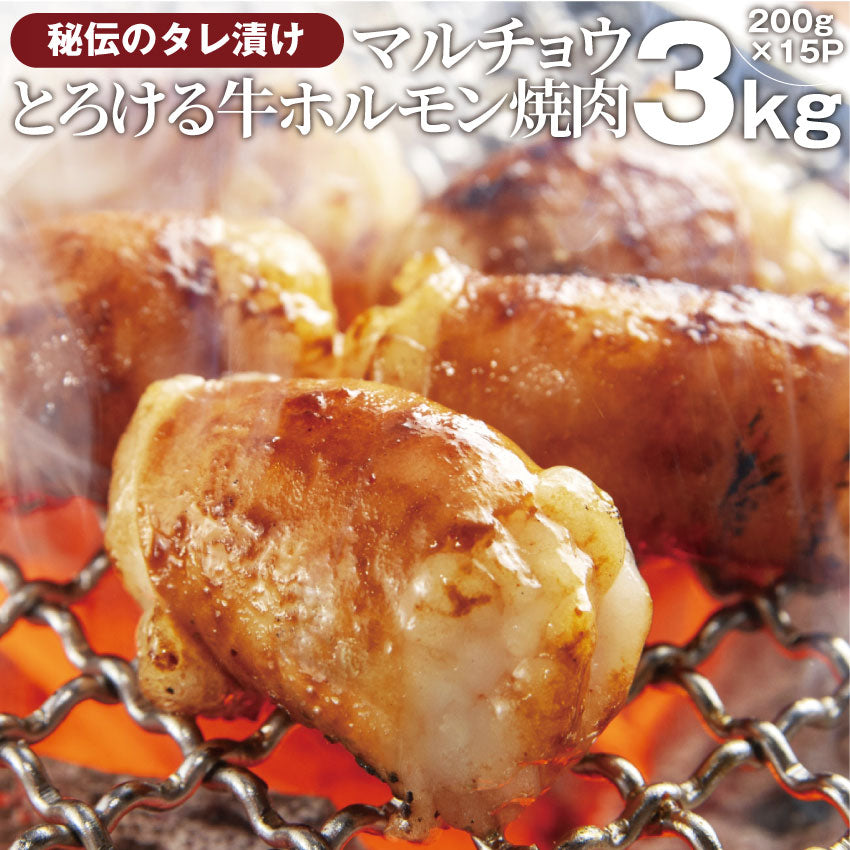 焼肉 牛肉 肉 ホルモン マルチョウ モツ 3kg 200g×15袋 バーベキュー 焼くだけ 簡単調理 お取り寄せ