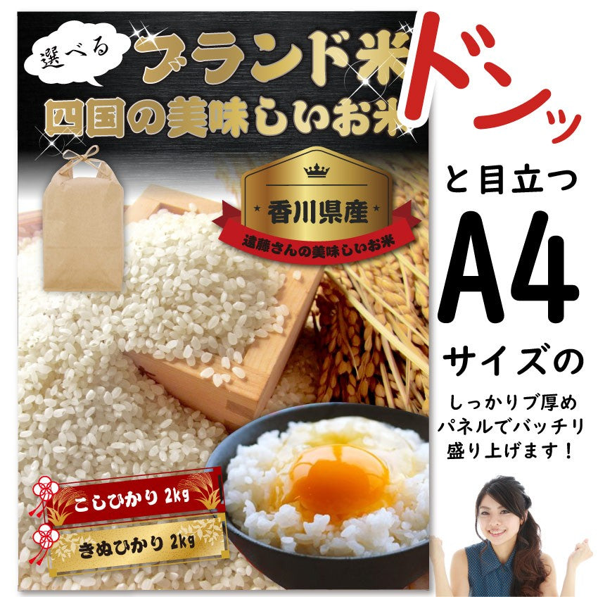 四国のおいしいお米目録 3500円ポッキリ A4 パネル 目録付 2次会 景品 目録 お中元 ギフト 食品 プレゼント 女性 男性 お祝い 新生活