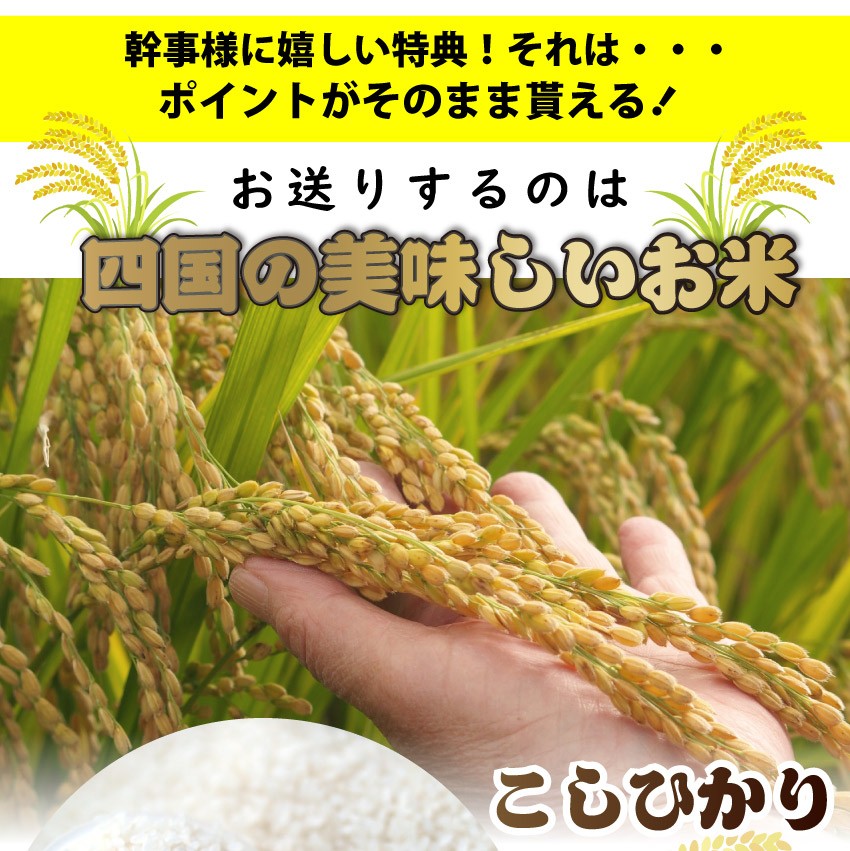 四国のおいしいお米目録 3500円ポッキリ A4 パネル 目録付 2次会 景品 目録 お中元 ギフト 食品 プレゼント 女性 男性 お祝い 新生活