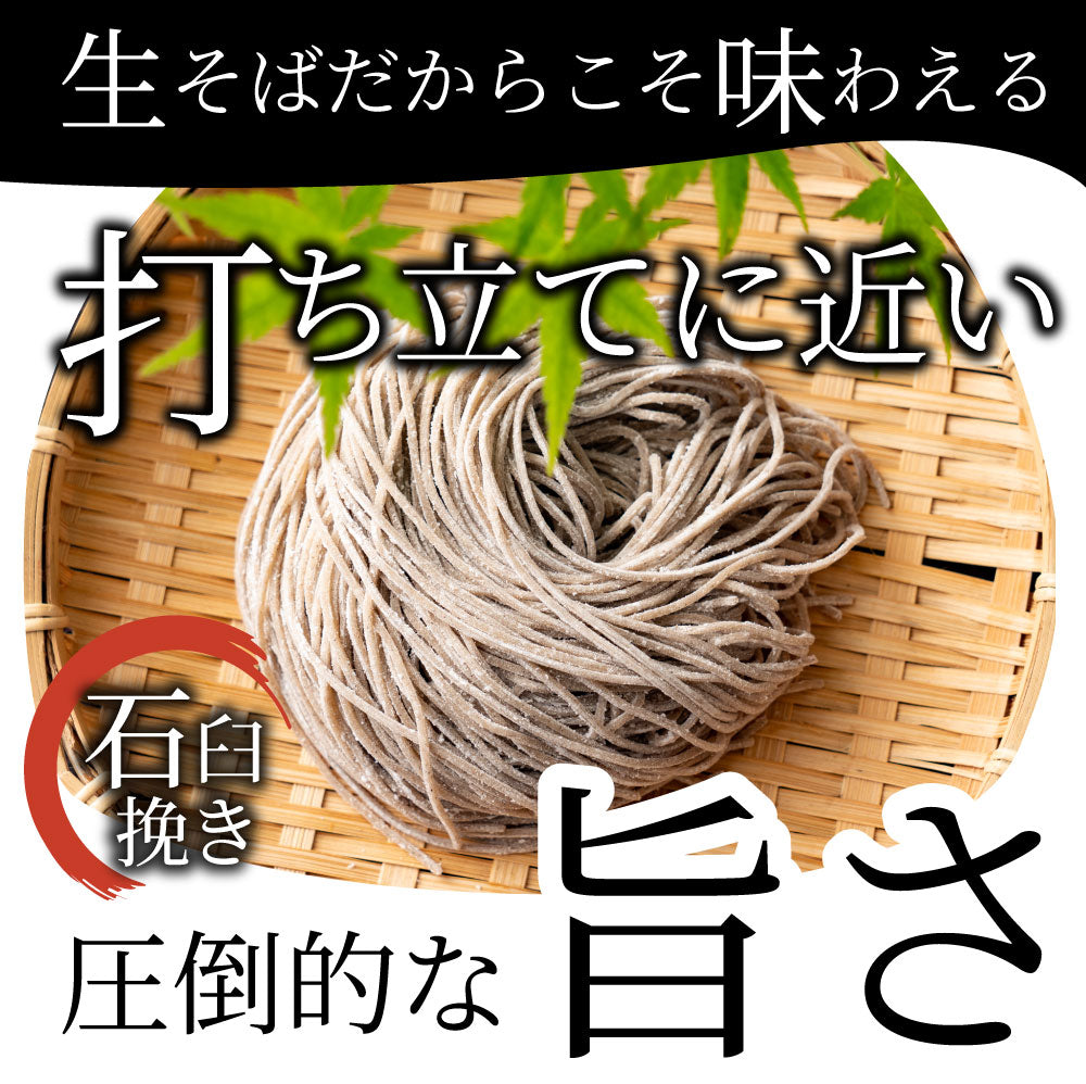 そば 蕎麦 ポイント10倍 1,000円 ポッキリ つゆ付き 石臼挽き 送料無料 ポイント消化 麺 生麺 お得 グルメ 食品 お試し 業務用 人気 お取り寄せ セット
