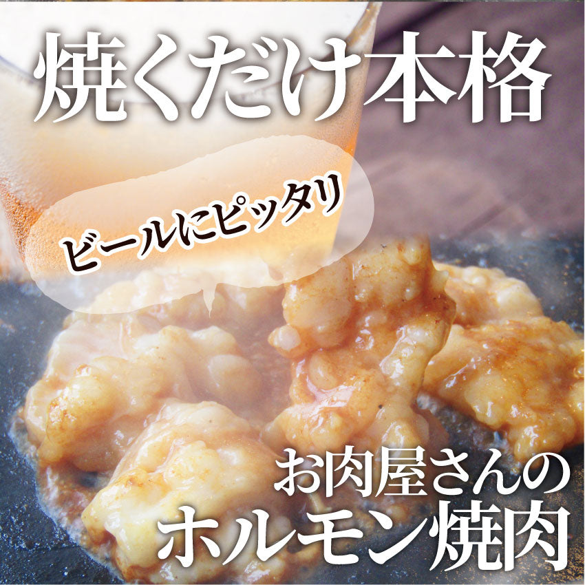 焼肉 牛肉 肉 ホルモン テッチャン モツ シマチョウ 3kg 250g×12袋 バーベキュー 焼くだけ