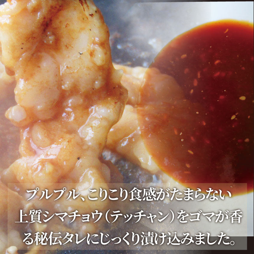 焼肉 牛肉 肉 ホルモン テッチャン モツ シマチョウ 3kg 250g×12袋 バーベキュー 焼くだけ