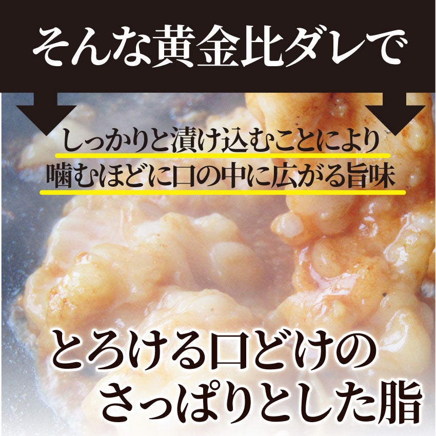 焼肉 牛肉 肉 ホルモン テッチャン モツ シマチョウ 3kg 250g×12袋 バーベキュー 焼くだけ