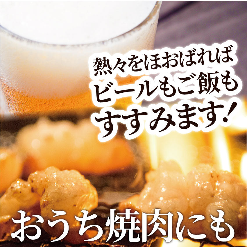 焼肉 牛肉 肉 ホルモン テッチャン モツ シマチョウ 3kg 250g×12袋 バーベキュー 焼くだけ