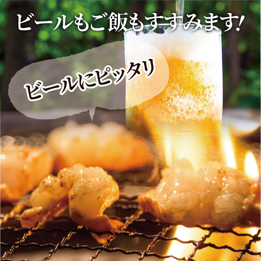焼肉 牛肉 肉 ホルモン テッチャン モツ シマチョウ 3kg 250g×12袋 バーベキュー 焼くだけ