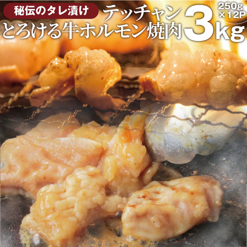 焼肉 牛肉 肉 ホルモン テッチャン モツ シマチョウ 3kg 250g×12袋 バーベキュー 焼くだけ