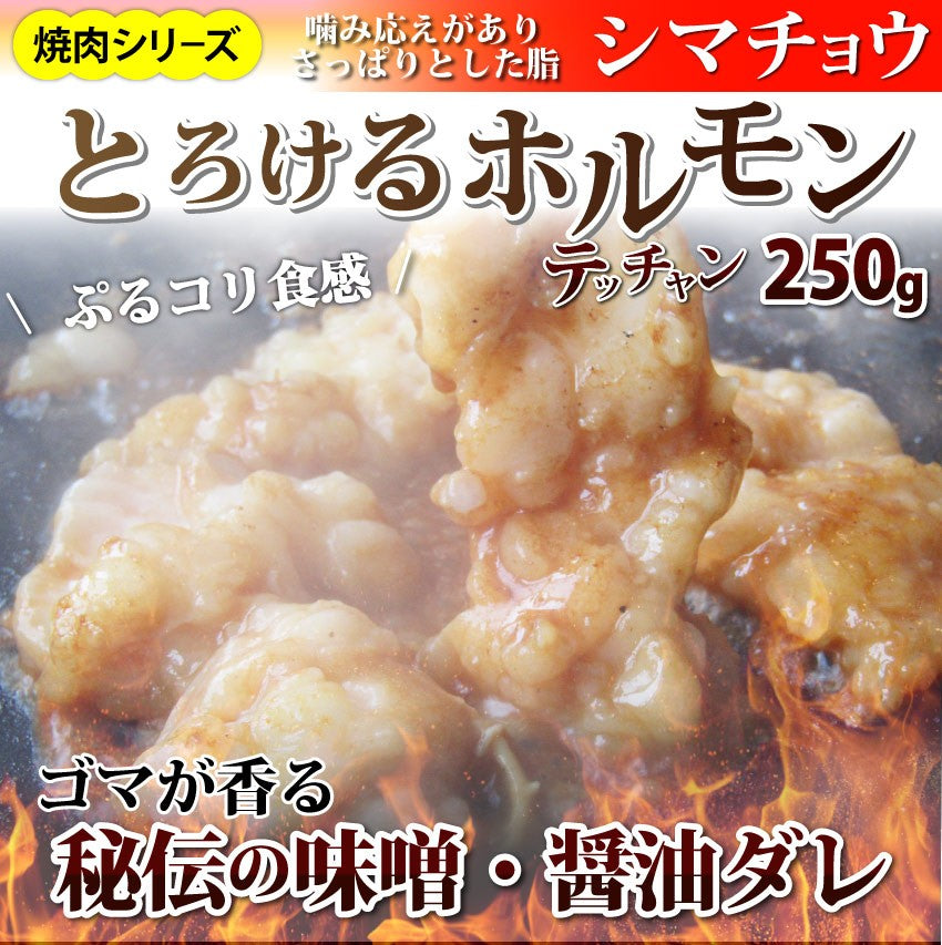 焼肉 セット 牛肉 肉 ホルモン 牛テッチャンシマチョウ モツ 250g 焼肉用 BBQ 秘伝 タレ漬け 焼くだけ 行楽 レジャー キャンプ キャンプ飯