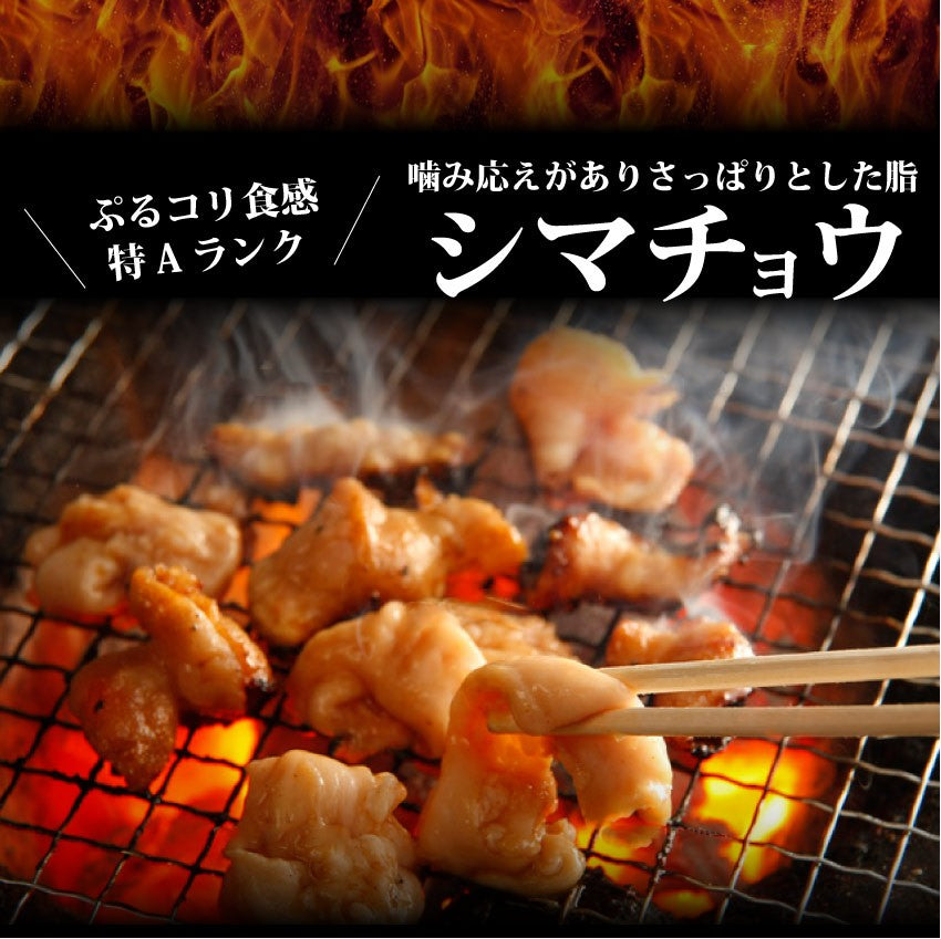 焼肉 セット 牛肉 肉 ホルモン 牛テッチャンシマチョウ モツ 250g 焼肉用 BBQ 秘伝 タレ漬け 焼くだけ 行楽 レジャー キャンプ キャンプ飯