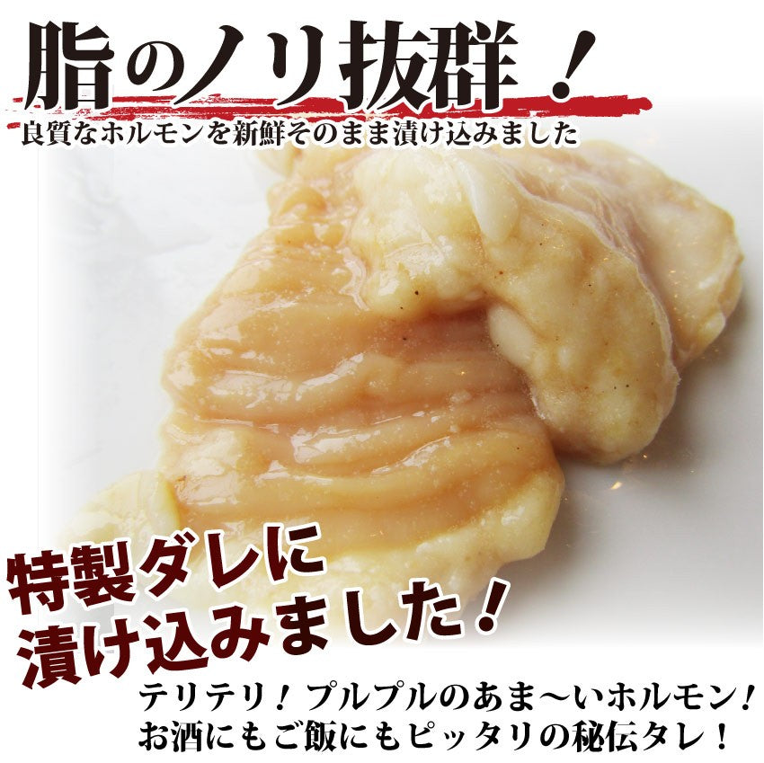 焼肉 セット 牛肉 肉 ホルモン 牛テッチャンシマチョウ モツ 250g 焼肉用 BBQ 秘伝 タレ漬け 焼くだけ 行楽 レジャー キャンプ キャンプ飯