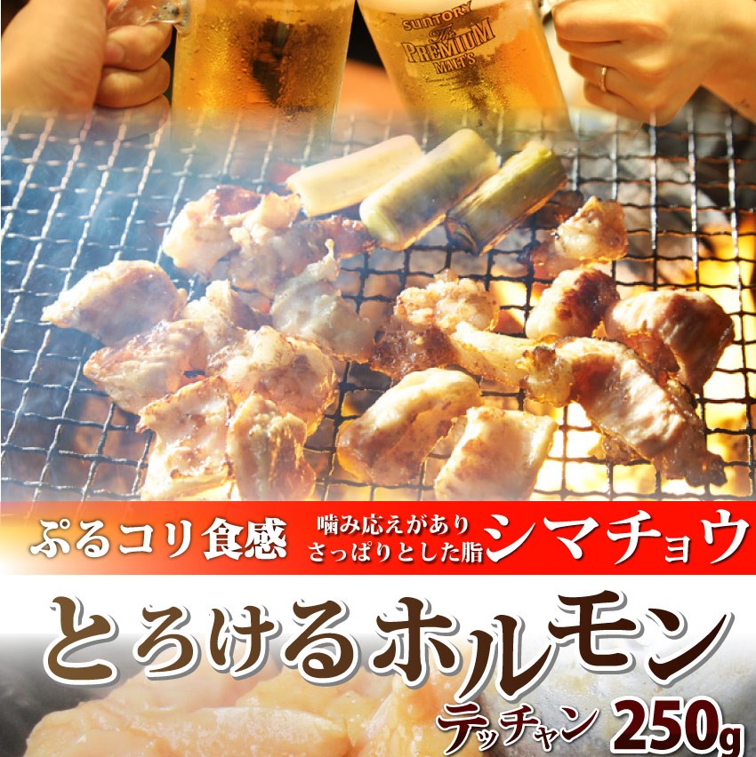 焼肉 セット 牛肉 肉 ホルモン 牛テッチャンシマチョウ モツ 250g 焼肉用 BBQ 秘伝 タレ漬け 焼くだけ 行楽 レジャー キャンプ キャンプ飯