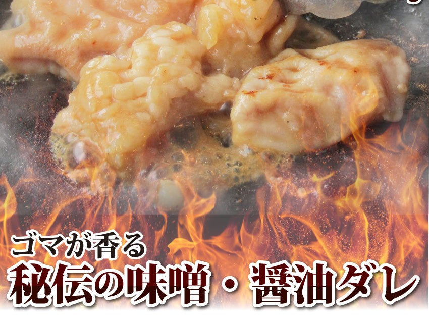 焼肉 セット 牛肉 肉 ホルモン 牛テッチャンシマチョウ モツ 250g 焼肉用 BBQ 秘伝 タレ漬け 焼くだけ 行楽 レジャー キャンプ キャンプ飯