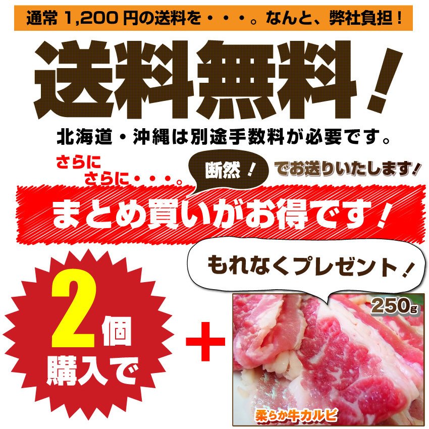 焼肉 セット 牛肉 肉 焼肉 メガ盛り行楽 BBQセット 福袋 2kg超 カルビ お中元 ギフト 食品 プレゼント お祝い 新生活 キャンプ キャンプ飯