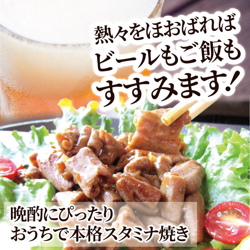 坂出ホルモン焼き スタミナ 国産 豚テッチャン 3kg (250g×12P) 焼肉 BBQ ホルモン焼き グルメ もつ キャンプ キャンプ飯*送料無料