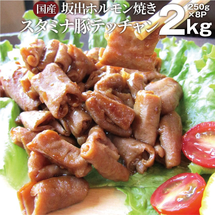 坂出ホルモン焼き スタミナ 国産 豚テッチャン 2kg (250g×8P) 焼肉 BBQ ホルモン焼き グルメ もつ キャンプ キャンプ飯*送料無料