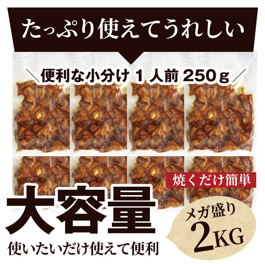 坂出ホルモン焼き スタミナ 国産 豚テッチャン 2kg (250g×8P) 焼肉 BBQ ホルモン焼き グルメ もつ キャンプ キャンプ飯*送料無料