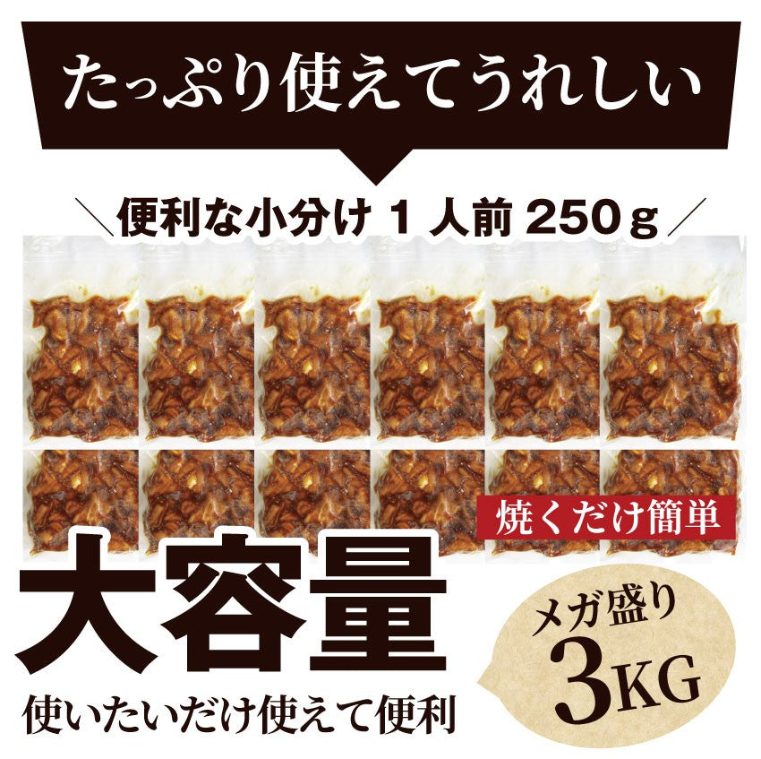 坂出ホルモン焼き スタミナ 国産 豚テッチャン 3kg (250g×12P) 焼肉 BBQ ホルモン焼き グルメ もつ キャンプ キャンプ飯*送料無料