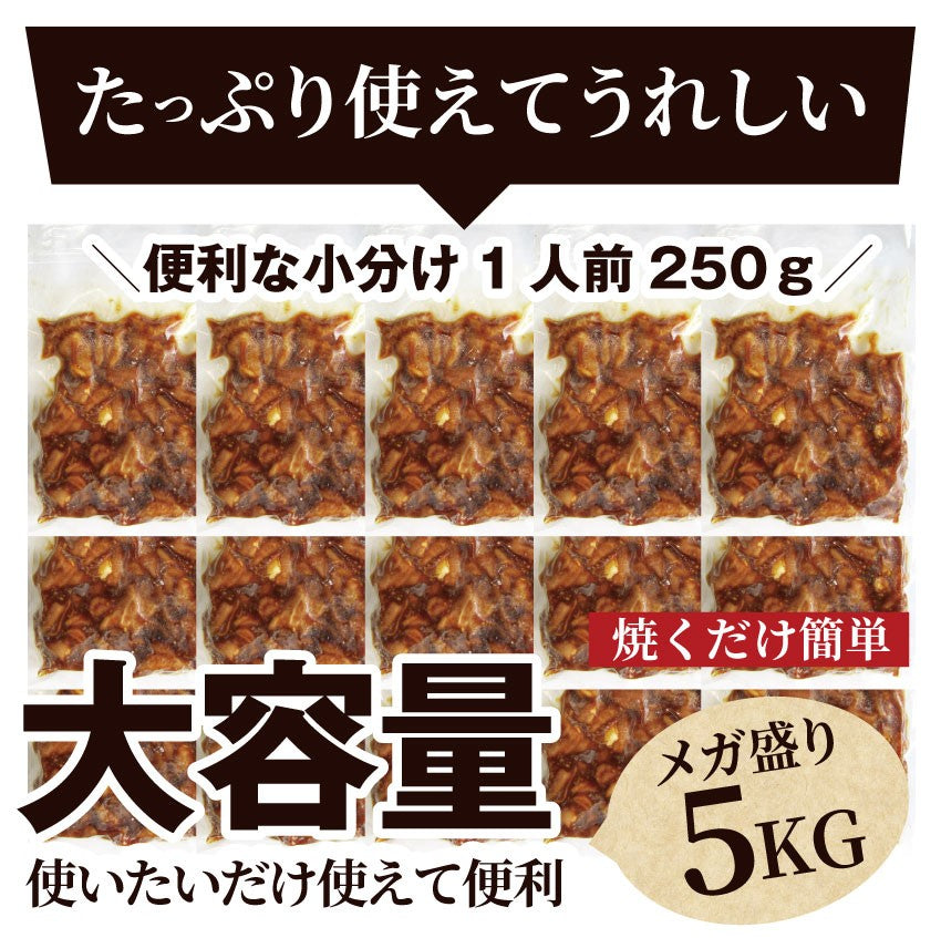 坂出ホルモン焼き スタミナ 国産 豚テッチャン 5kg (250g×20P) 焼肉 ホルモン焼き グルメ もつ キャンプ キャンプ飯*送料無料