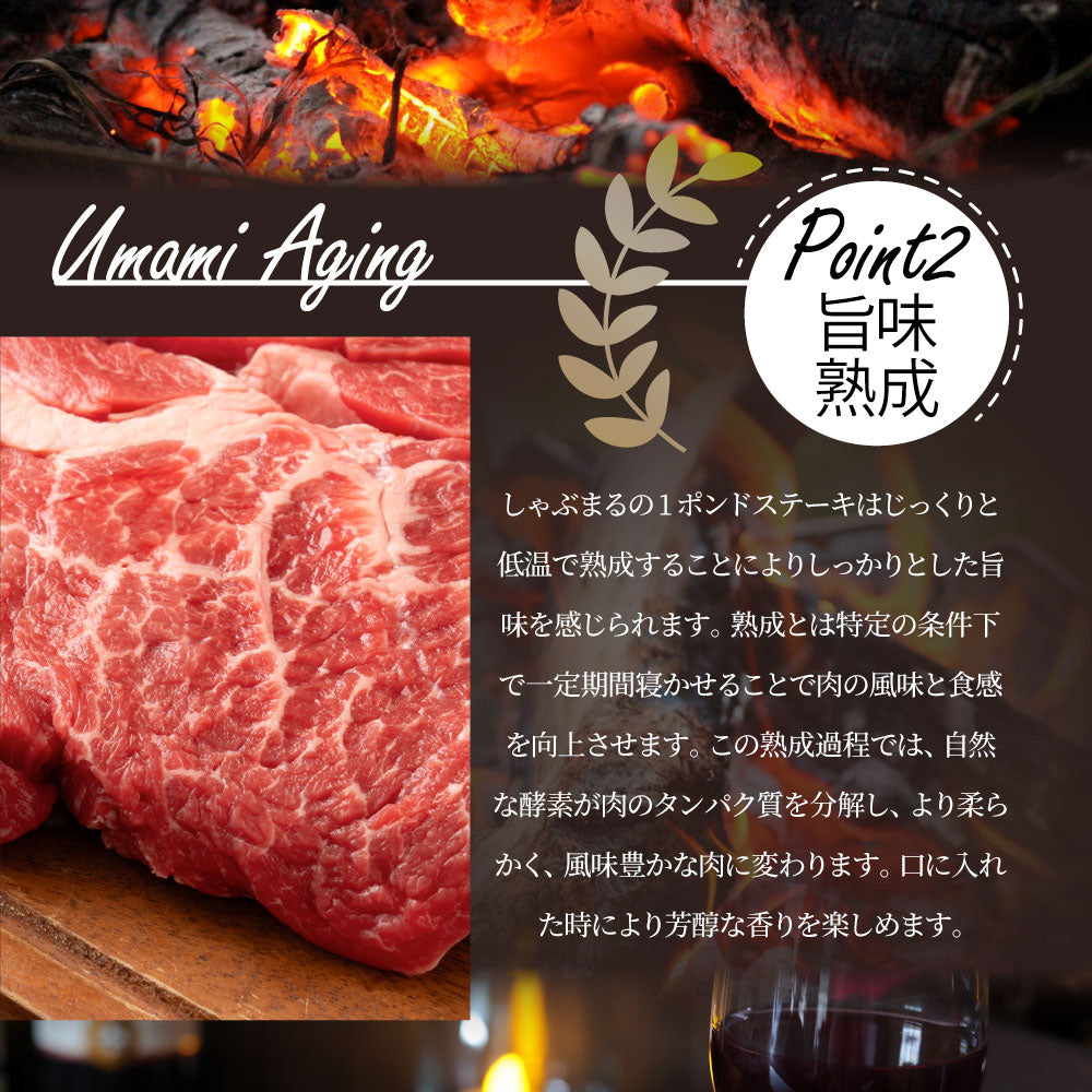 焼肉 セット 牛肉 肉 1ポンド ステーキ 5枚セット 牛肩ロース 450g×5 ブロック ワンポンド メガ盛り 熟成肉 キャンプ キャンプ飯