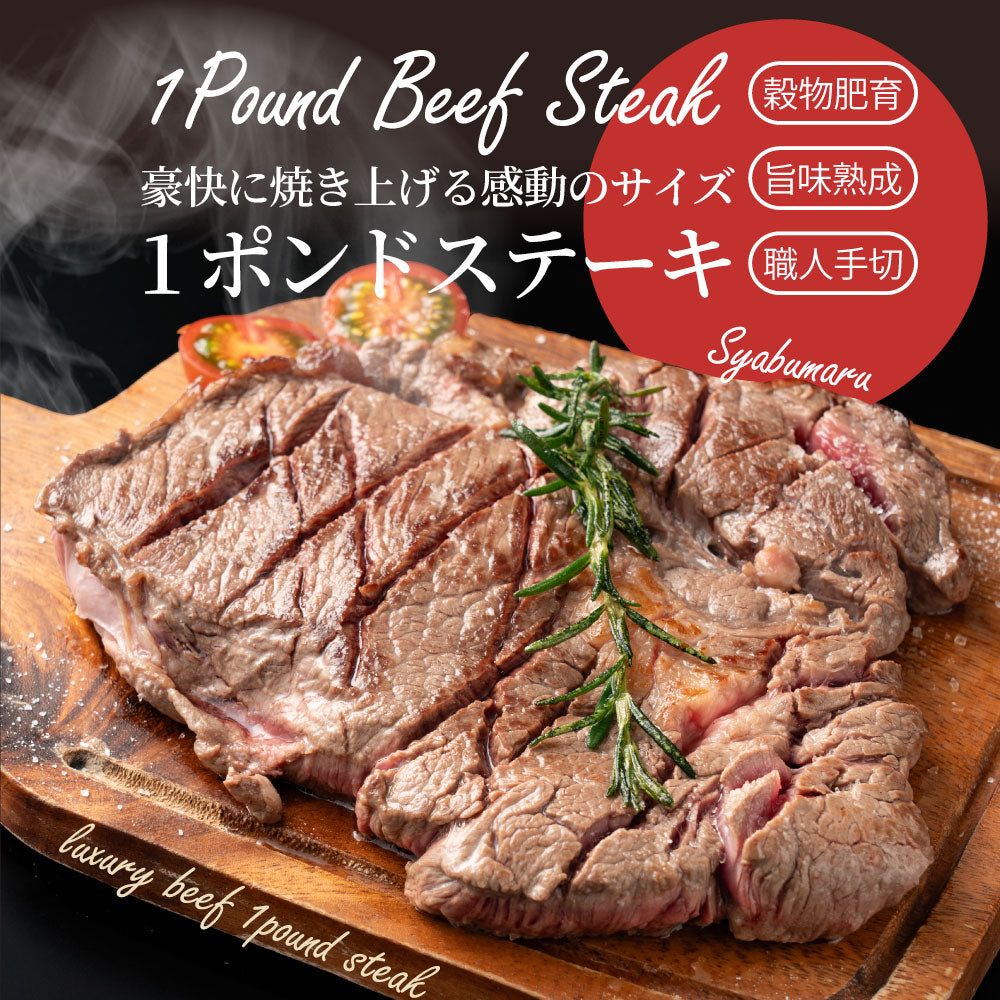 焼肉 セット 牛肉 肉 1ポンド ステーキ 5枚セット 牛肩ロース 450g×5 ブロック ワンポンド メガ盛り 熟成肉 キャンプ キャンプ飯