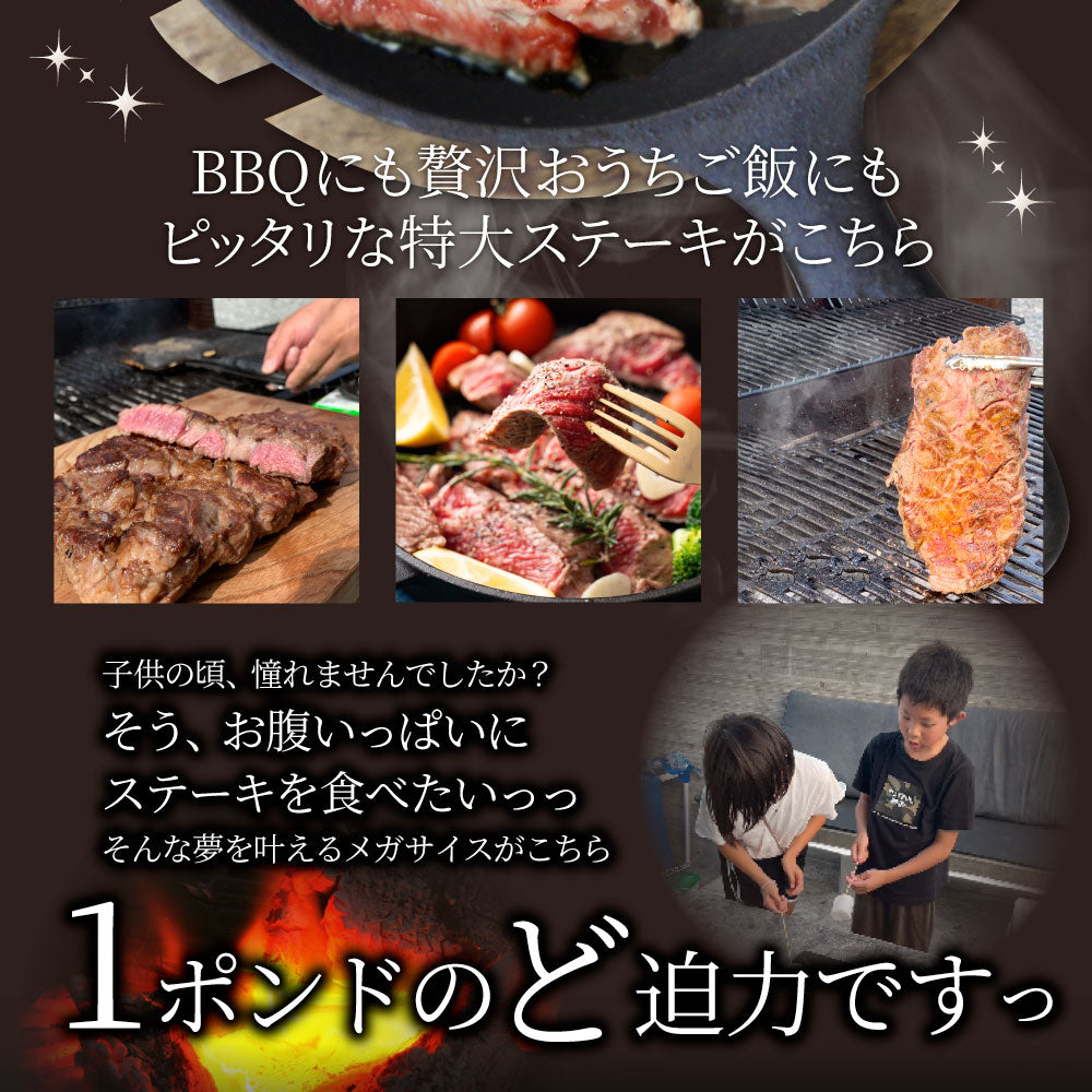 焼肉 セット 牛肉 肉 1ポンド ステーキ 2枚セット 牛肩ロース 450g×2 ブロック ワンポンド メガ盛り 熟成肉 キャンプ キャンプ飯