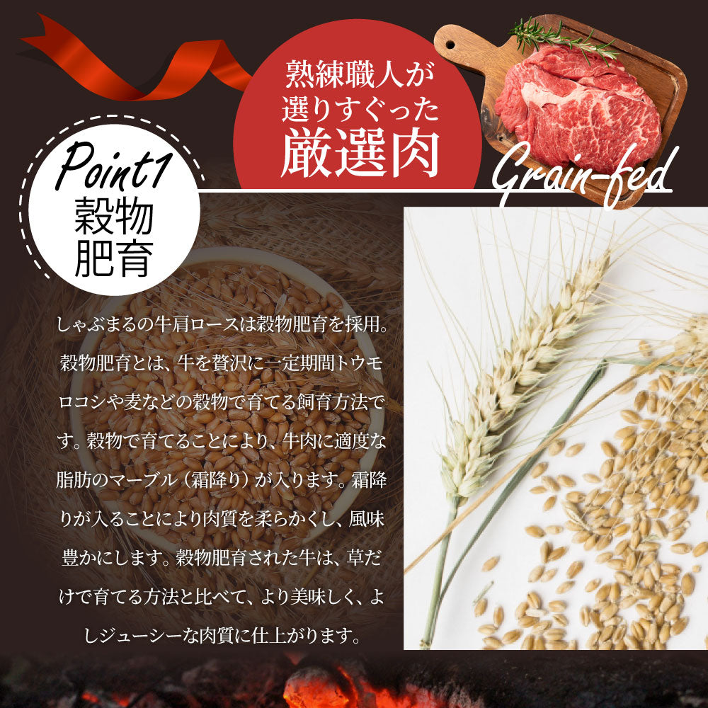 焼肉 セット 牛肉 肉 1ポンド ステーキ 2枚セット 牛肩ロース 450g×2 ブロック ワンポンド メガ盛り 熟成肉 キャンプ キャンプ飯