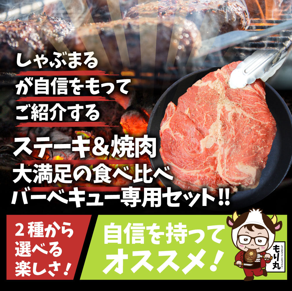 ステーキ ＆ 焼肉 バーベキュー専用セット 《肉重量最大2.6kg》 選べる野菜付き冷蔵or冷凍 焼肉のタレ付き 行楽 野外 食べ物 牛肉 アウトドア お家焼肉 レジャー