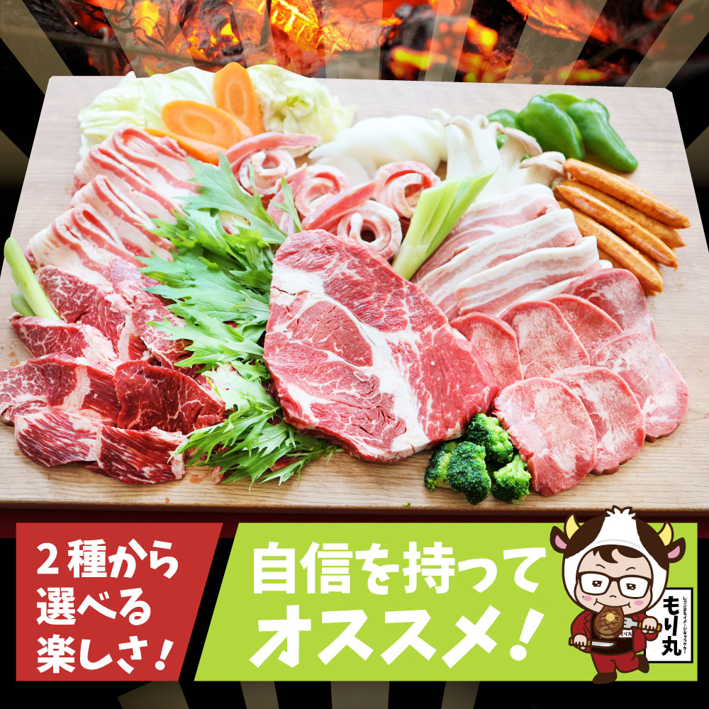 ステーキ ＆ 焼肉 バーベキュー専用セット 《肉重量最大2.6kg》 選べる野菜付き冷蔵or冷凍 焼肉のタレ付き 行楽 野外 食べ物 牛肉 アウトドア お家焼肉 レジャー