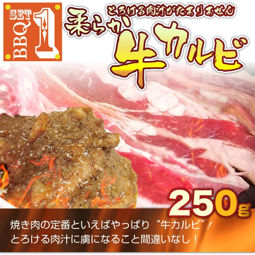 焼肉 セット 牛肉 肉 バーベキュー カルビセット 3種盛り ソーセージ お試し お中元 ギフト 食品 プレゼント お祝い 新生活 キャンプ キャンプ飯