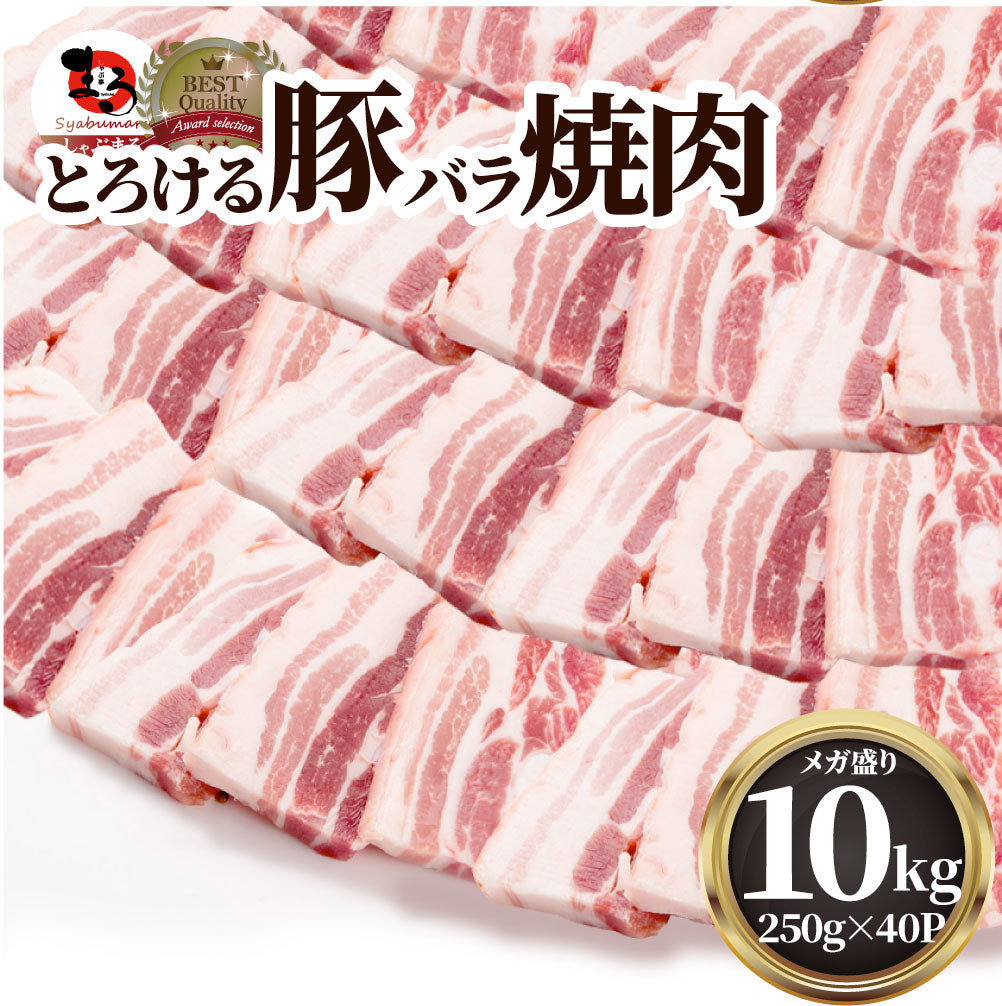 豚バラ肉 10kg スライス 焼肉 豚肉 250g×40パック メガ盛り 豚肉 バーベキュー 焼肉 スライス バラ 小分け 便利