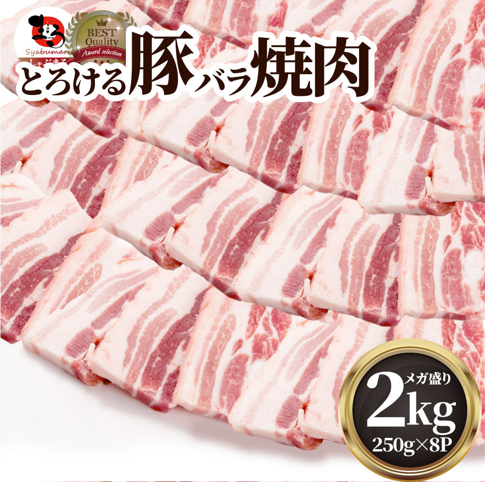 豚バラ肉 2kg スライス 焼肉 豚肉 250g×8パック メガ盛り 豚肉 バーベキュー 焼肉 スライス バラ 小分け 便利