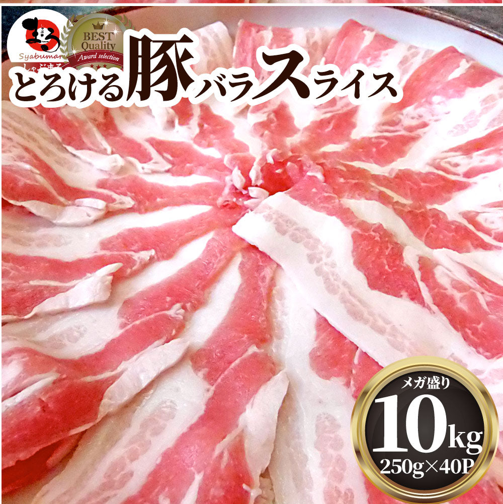 豚バラ肉 10kg スライス 焼肉 豚肉 250g×40パック メガ盛り 豚肉 バーベキュー 焼肉 スライス バラ 小分け 便利