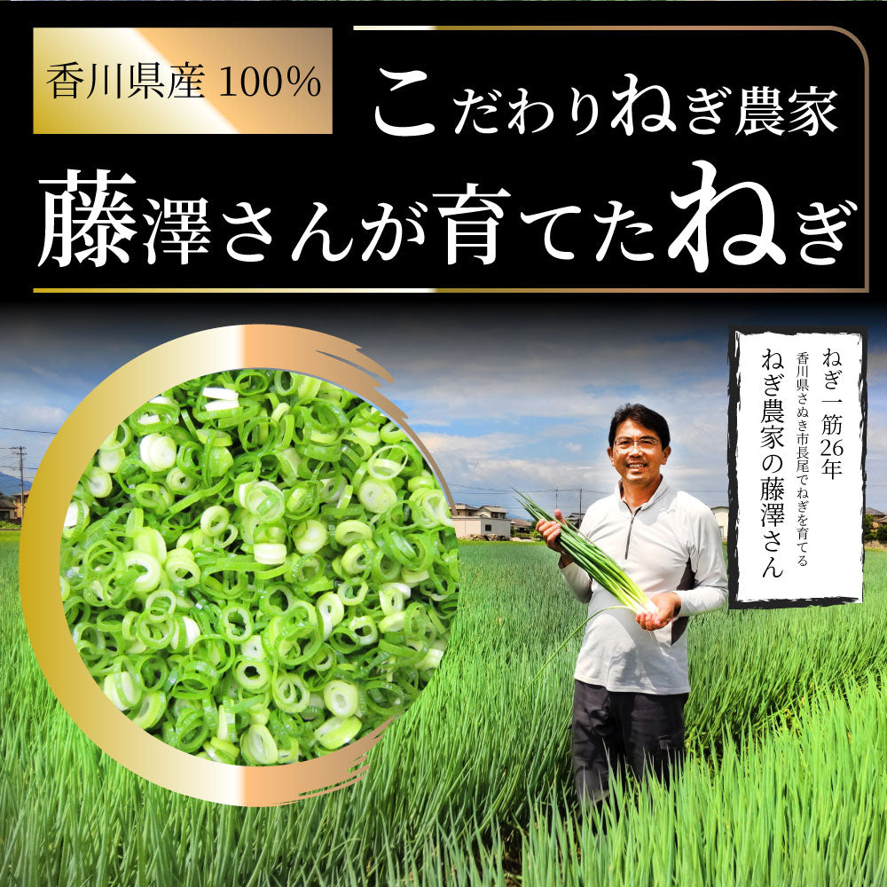 カットねぎ 500g ねぎ ネギ 藤澤さん家のカットねぎ 葱 冷凍 とれたてネギ 香川県産 冷凍野菜  時短 料理 簡単調理 包丁いらず